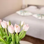 Bimba & Free Parking Apartment Poznan
