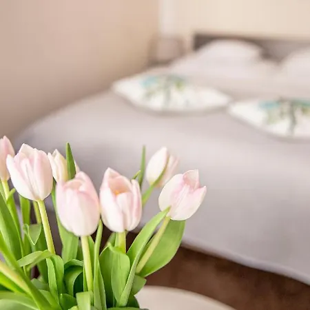 Bimba & Free Parking Apartamento Poznań