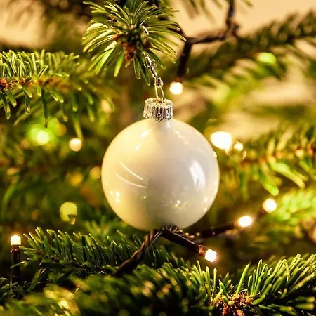 Bimba & Free Parking Apartament