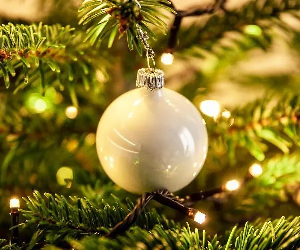 Bimba & Free Parking Apartament