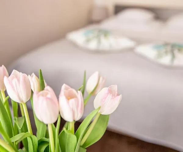 Bimba & Free Parking Apartment Poznan