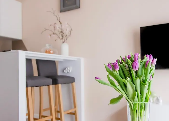 Apartament Bimba & Free Parking